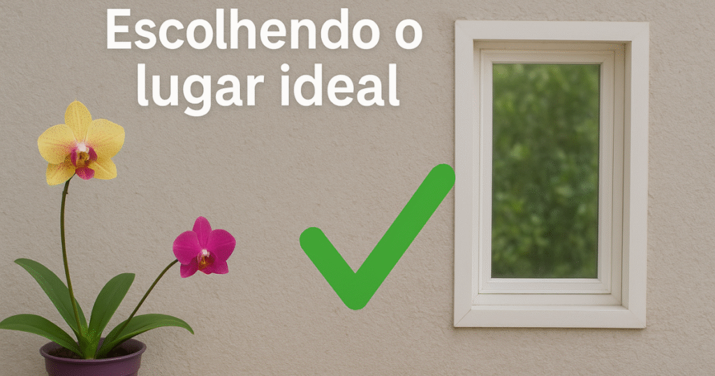 “Orquidário em varanda iluminada com vasos de orquídeas coloridas”
