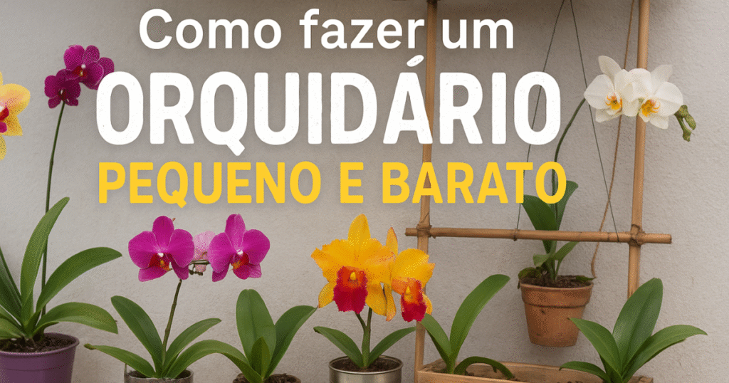 “Como fazer um orquidário pequeno e barato com orquídeas coloridas em vasos simples”