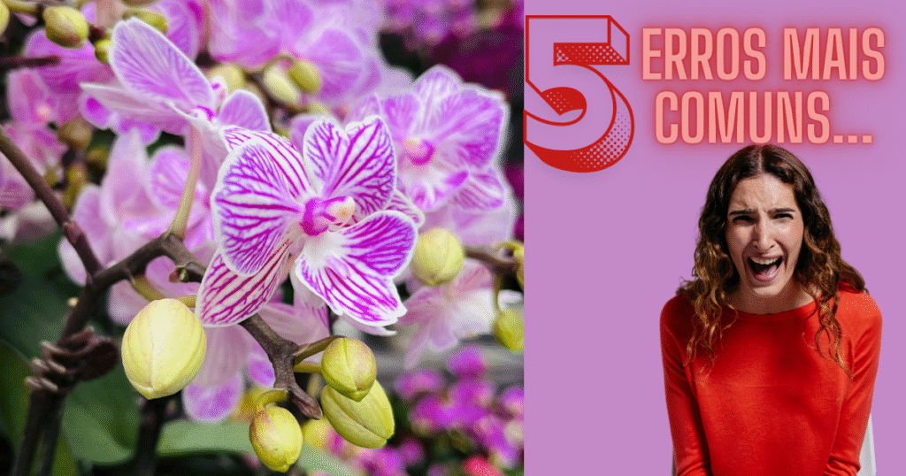 ERROS