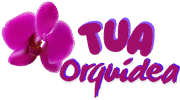 Tua Orquídea