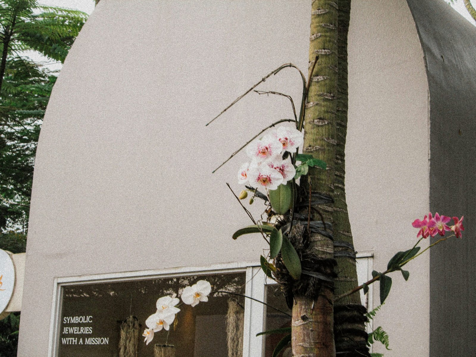 Como Montar uma Torre de Orquídeas para Iniciantes: Dicas, Produtos e Práticas Essenciais